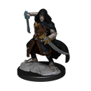 Wizkids Minis D&D 90236 Warforged Rogue