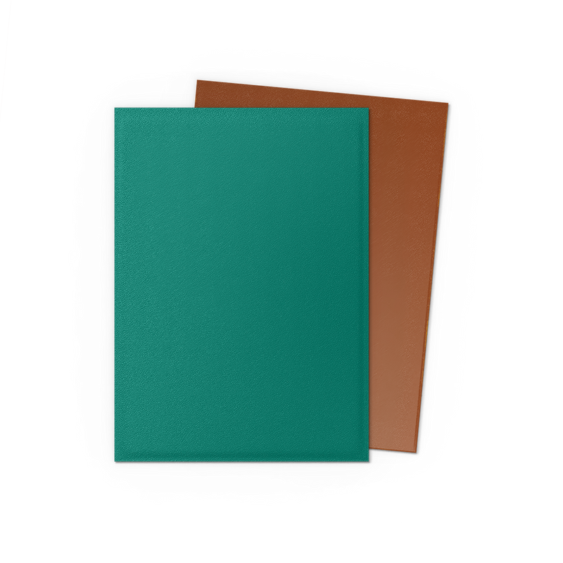 Dragon Shield Sleeves: Matte Dual Power & Copper
