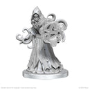 Wizkids Minis Pathfinder 90835 Aghash & Venedaemon (Pact Daemon)