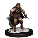 Wizkids Minis D&D 90228 Half-Elf Rogue Female