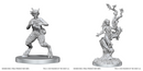 Wizkids Minis D&D 90859 Satyr & Dryad