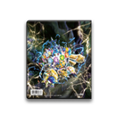 Card Portfolio UP 4 pocket Pokemon Scarlet & Violet SV7