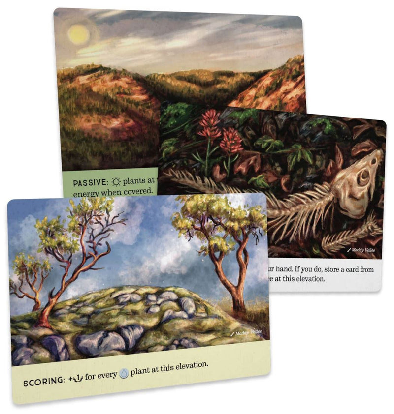 CG Reforest: Old Growth