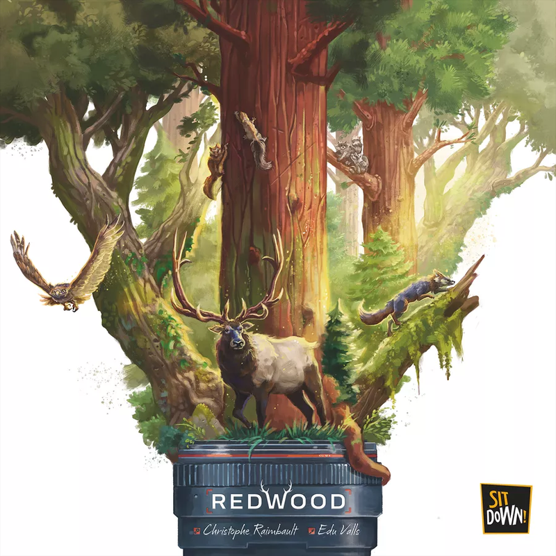 BG Redwood