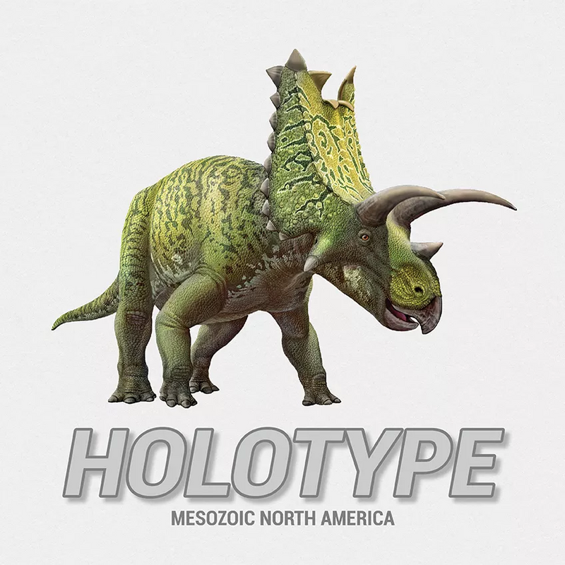 BG Holotype: Mesozoic North America