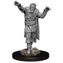 Wizkids Minis D&D 90241 Scarecrow & Stone Cursed