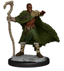 Wizkids Minis D&D 90221 Human Druid Male