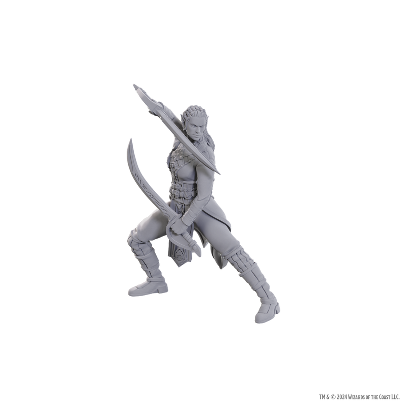 Wizkids Minis D&D Baldur's Gate 96368 Jaheira & Halsin