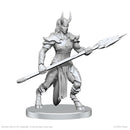 Wizkids Minis Pathfinder 90840 Vordine (Infantry Devil) & Pitborn Rogue