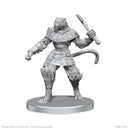 Wizkids Minis Pathfinder 97582 Elf Hunter & Catfolk Bandit