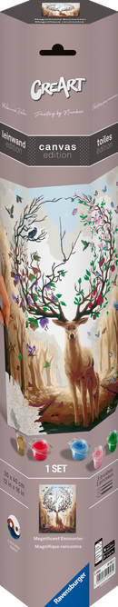 CreART Canvas Art - Magnificent Encounter