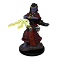 Wizkids Minis D&D 90239 Night Hag & Dusk Hag