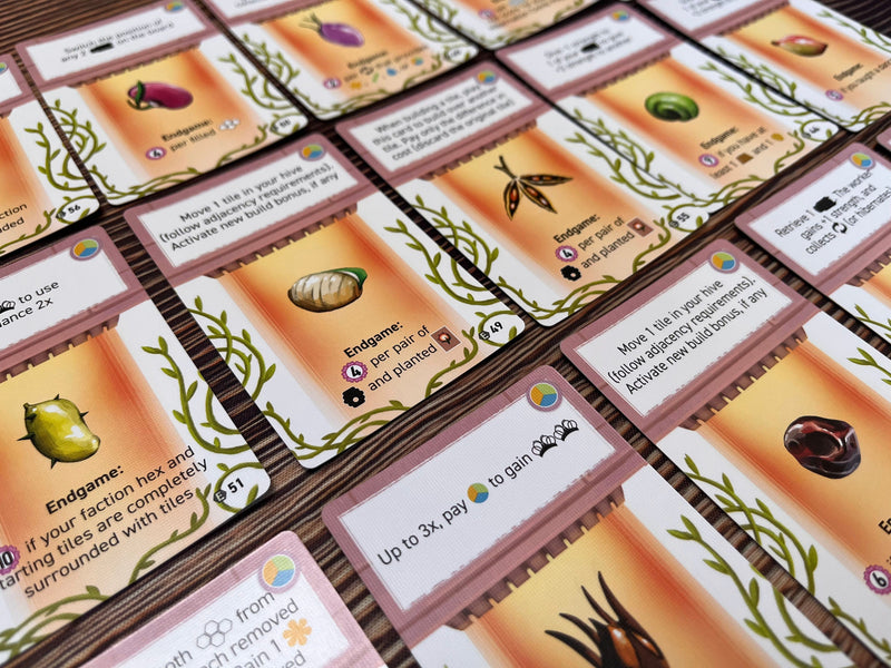 Bg Apiary Expanding The Hive Expansion