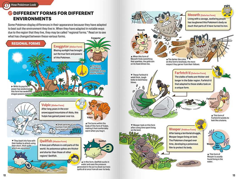 Novel Pokecology - An Illustrated Guide to Pokemon Ecology