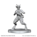 Wizkids Minis D&D 90859 Satyr & Dryad