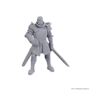 Wizkids Minis D&D Baldur's Gate 96370 Ulder Ravengard & Zevlor