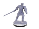 Wizkids Minis D&D 90673 Reborn Paladin / Warlock