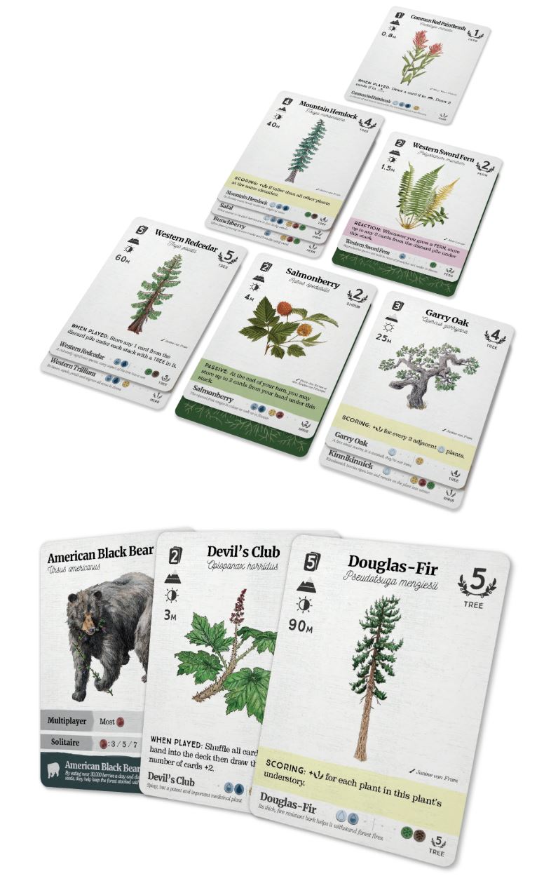 CG Reforest: Plants Of The Pacific Northwest Coast
