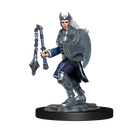 Wizkids Minis D&D 90233 Kalashtar Cleric Female
