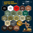 Army Painter Fanatic Historical: WWII Imperial Japanese Paint Set