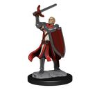 Wizkids Minis D&D 90230 Half-Elf Paladin Male