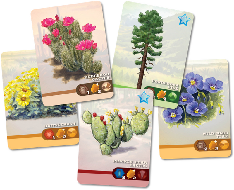 BG Trailblazer: The Arizona Trail