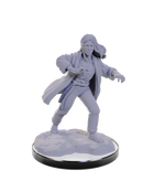 Wizkids Minis D&D 90673 Reborn Paladin / Warlock