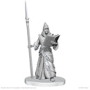 Wizkids Minis Pathfinder 90836 Vloriak (Despoiler Demon) & Demonologist