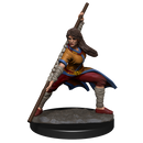 Wizkids Minis D&D 90225 Human Monk Female