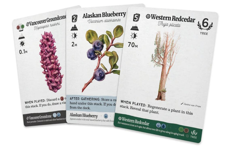 CG Reforest: Old Growth