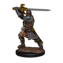 Wizkids Minis D&D 90220 Human Paladin Male