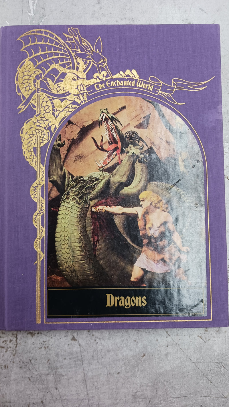 Used - RPG The Enchanted World Dragons