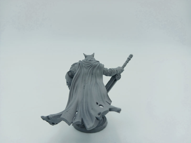 Comet Lord Miniatures Aegon, Wolfknight