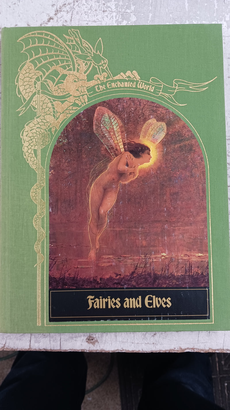 Used - RPG The Enchanted World Fairies and Elves