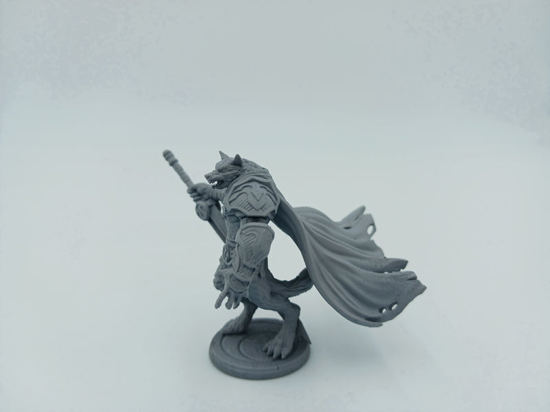 Comet Lord Miniatures Aegon, Wolfknight
