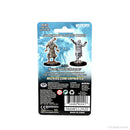 Wizkids Minis D&D 90241 Scarecrow & Stone Cursed