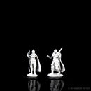 Wizkids Minis D&D 73675 Minsc & Delina