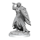 Wizkids Minis D&D 90404 Elf Cleric Male