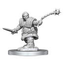 Wizkids Minis D&D 90406 Dwarf Fighter Female