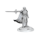 Wizkids Minis D&D 90423 Death Knights