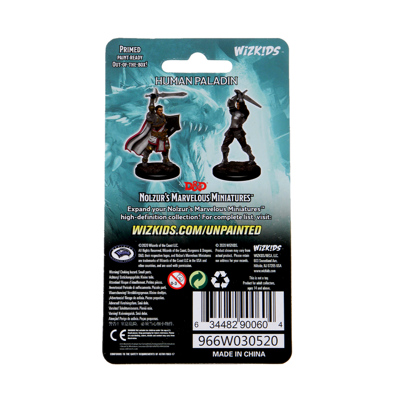 Wizkids Minis D&D 90060 Male Human Paladin