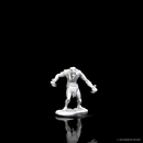 Wizkids Minis D&D 90081 Raging Troll