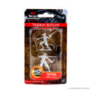 Wizkids Minis D&D 73540 Male Tabaxi Rogue