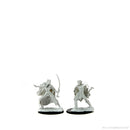 Wizkids Minis D&D 90320 Winter and Spring Eladrin