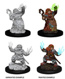 Wizkids Minis Pathfinder 73543 Female Dwarf Summoner