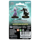 Wizkids Minis D&D 72570 Wraith & Specter