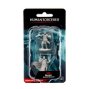 Wizkids Minis D&D 90053 Male Human Sorcerer