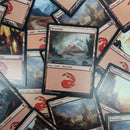 MTG Land Pack Foil Mountain (12)