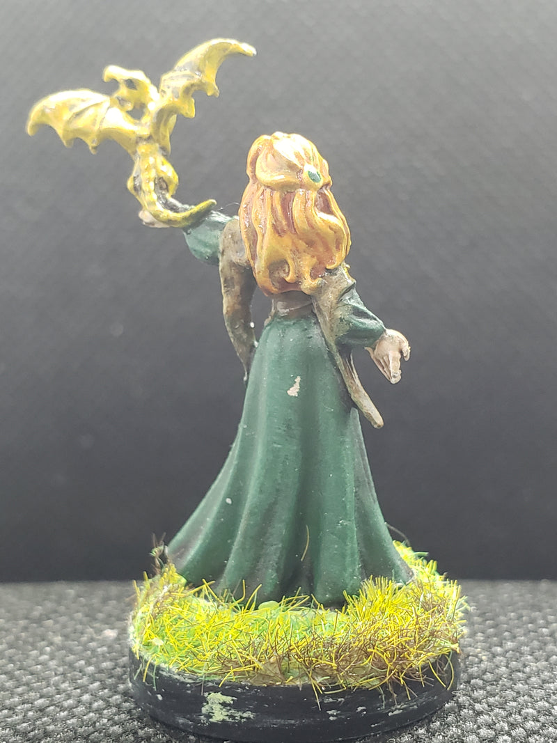 Hand Painted Metal Character Miniatures