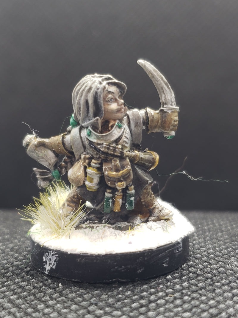 Hand Painted Metal Character Miniatures